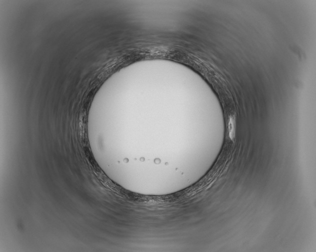 X0000113061395200908280937