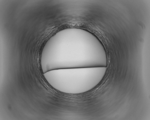 X0000113061396200908280937