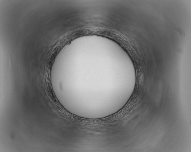 X0000113061397200908280937