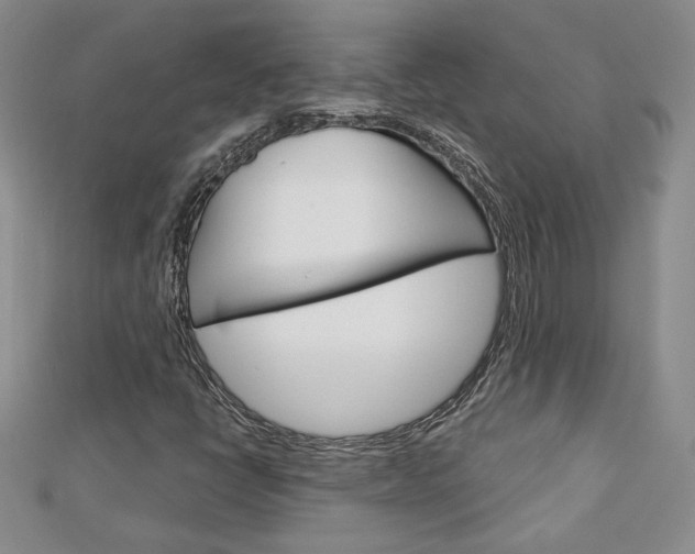 X0000113061398200908280937