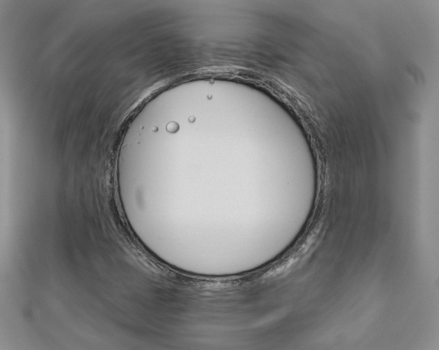 X0000113061401200908280937