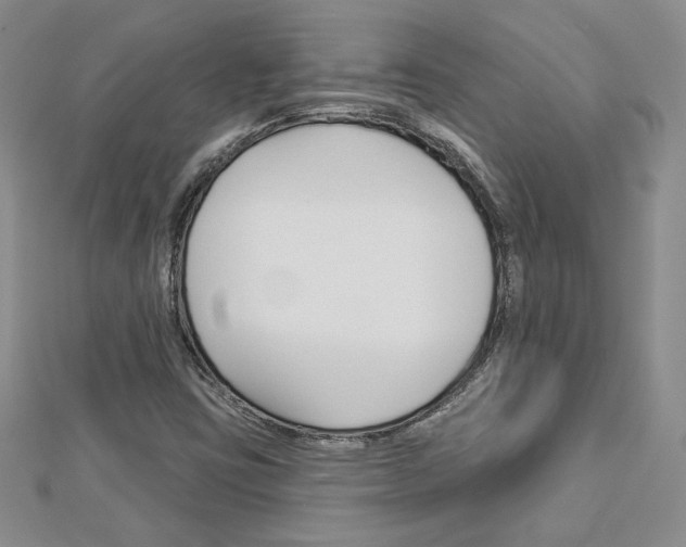 X0000113061403200908280937