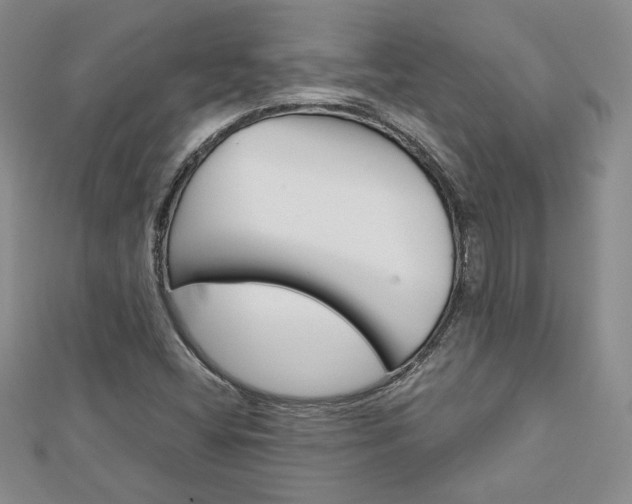 X0000113061404200908280937