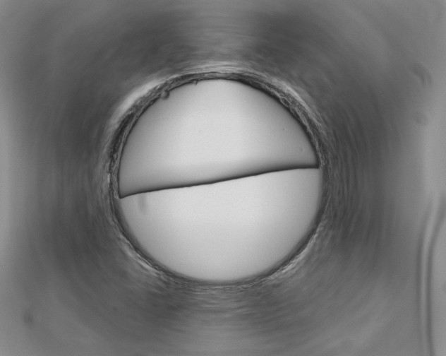 X0000113061406200908280937