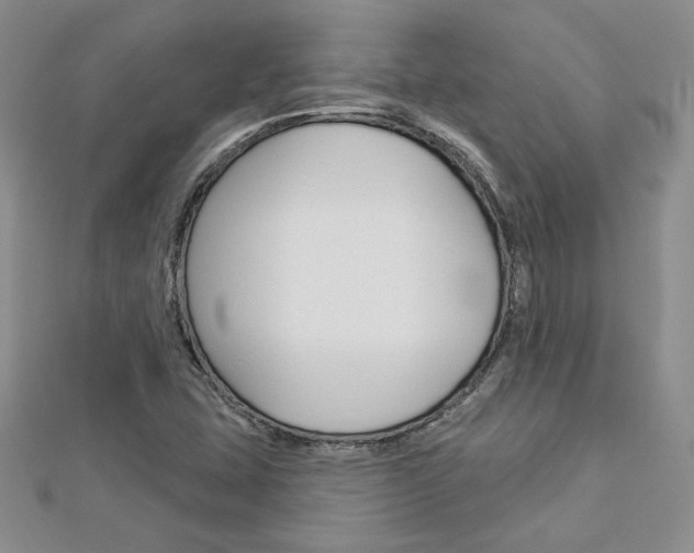 X0000113061407200908280937