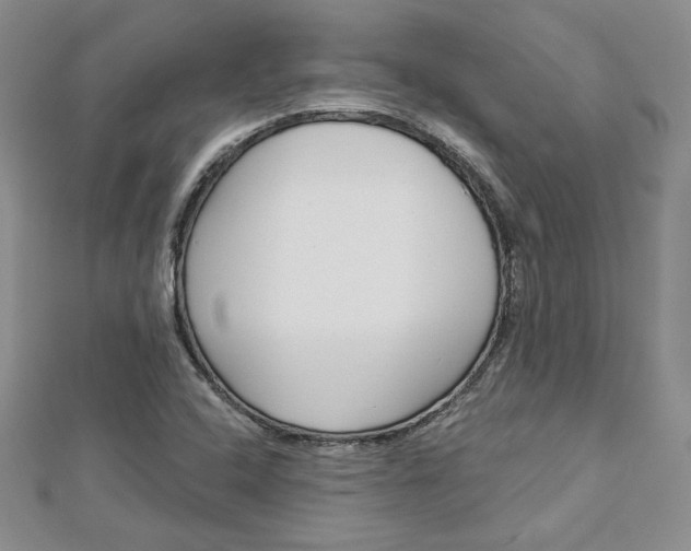 X0000113061408200908280937