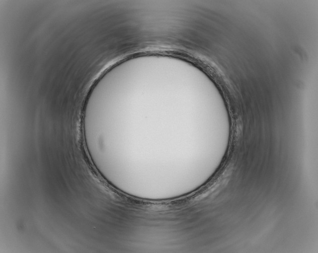 X0000113061409200908280937