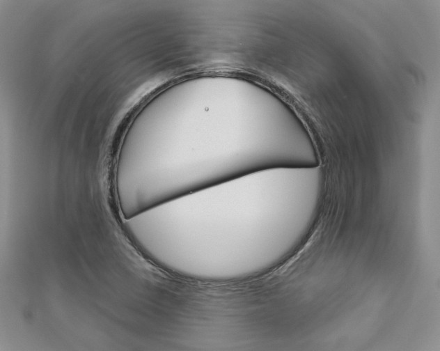 X0000113061410200908280937