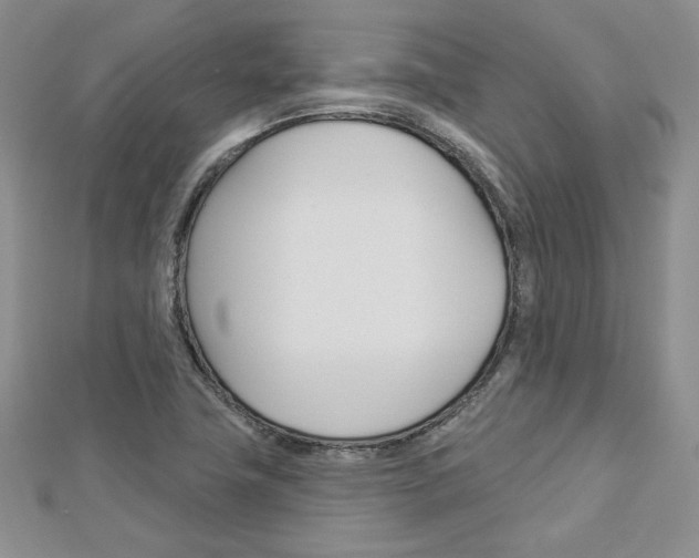 X0000113061411200908280937