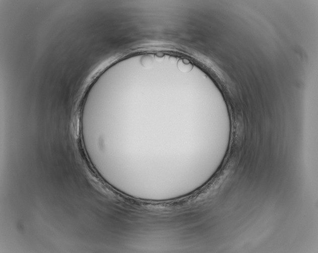 X0000113061413200908280937