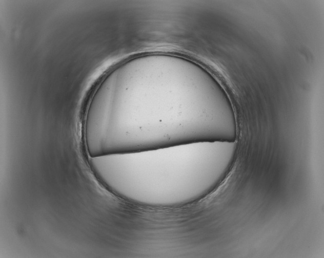 X0000113061414200908280937