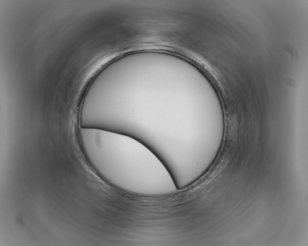X0000113061415200908280937