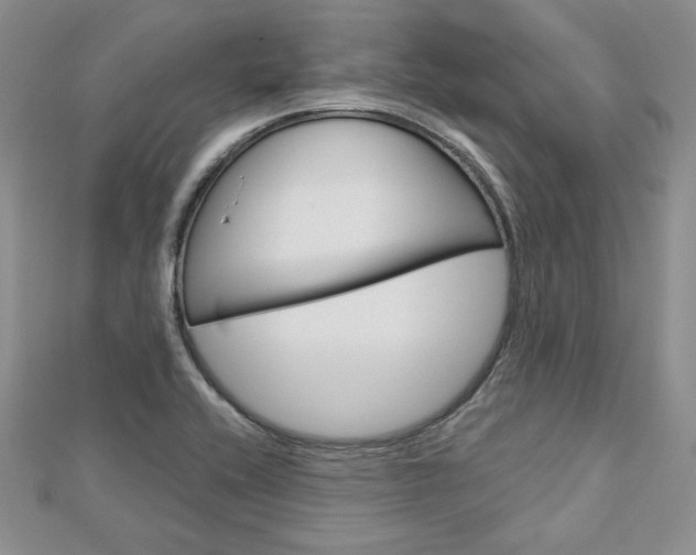 X0000113061416200908280937