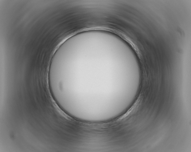 X0000113061417200908280937