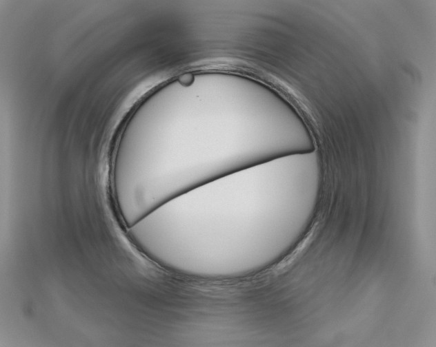 X0000113061418200908280937