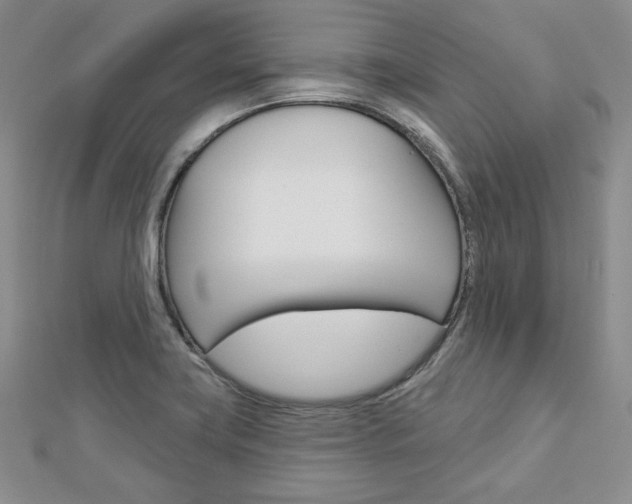 X0000113061419200908280937