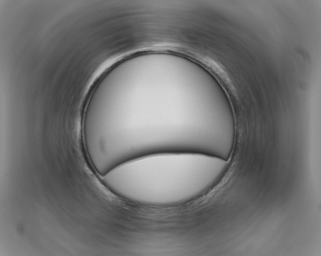 X0000113061420200908280937