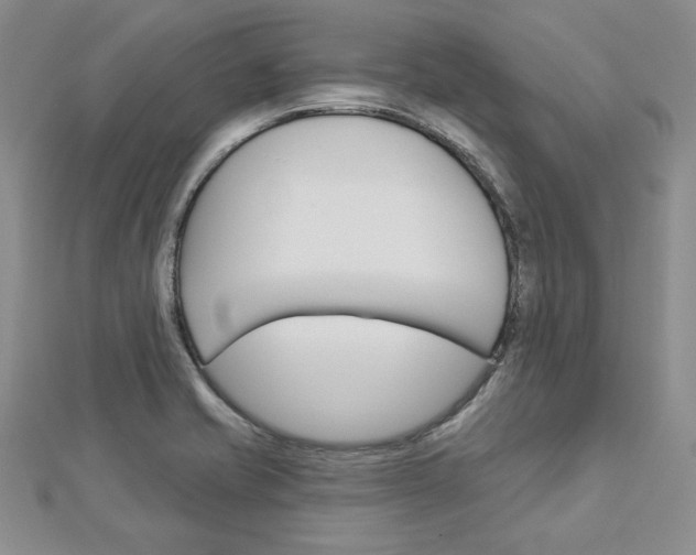 X0000113061421200908280937