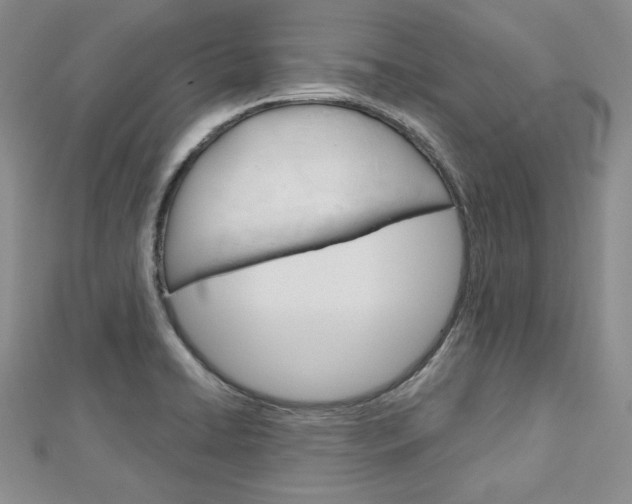 X0000113061422200908280937