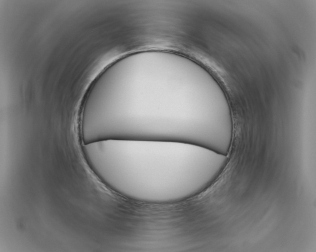 X0000113061423200908280937