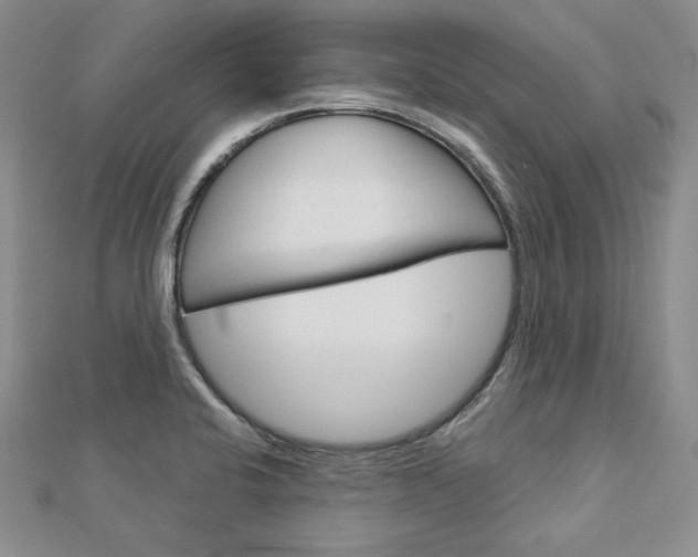 X0000113061424200908280937