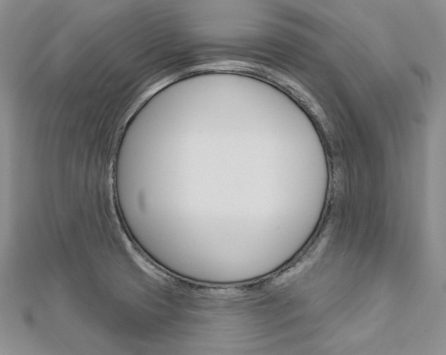 X0000113061425200908280937