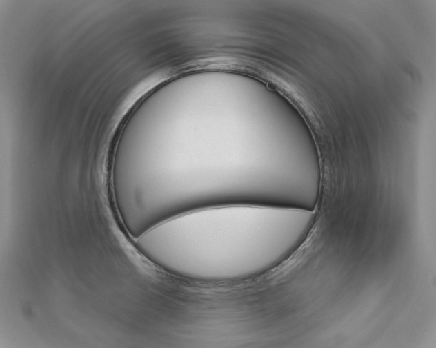 X0000113061426200908280937