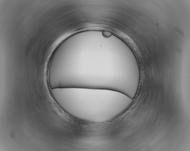 X0000113061427200908280937
