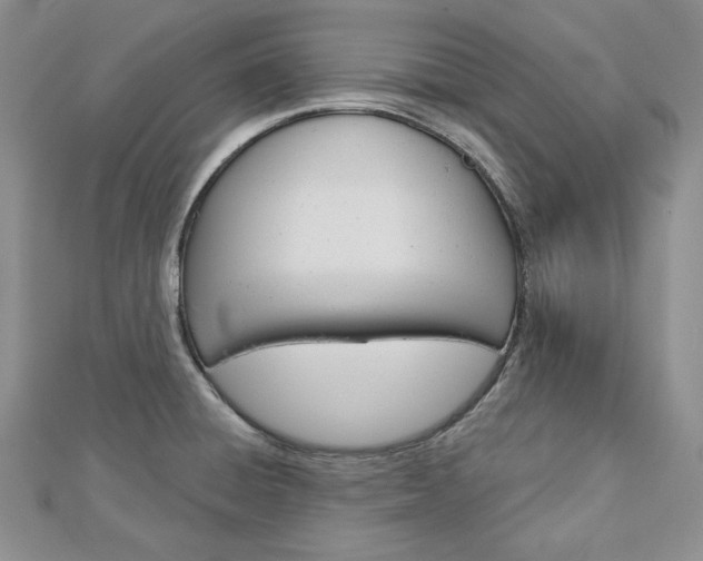 X0000113061428200908280937