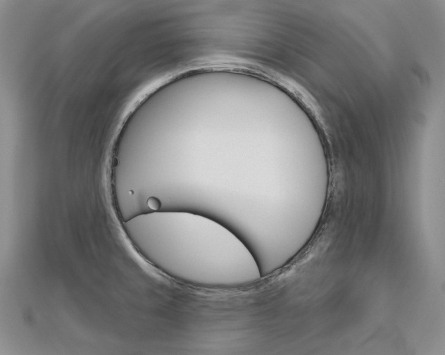 X0000113061429200908280937