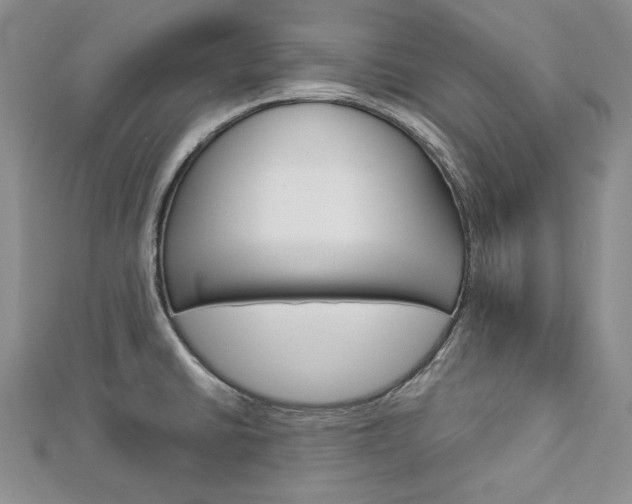 X0000113061430200908280937