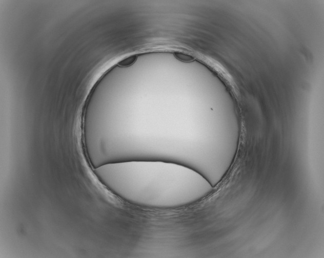 X0000113061431200908280937