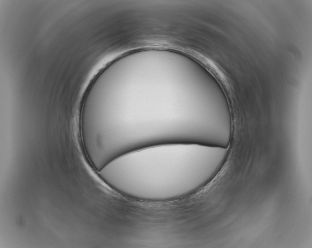 X0000113061432200908280937