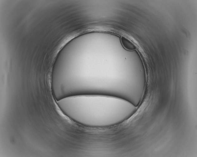 X0000113061433200908280937