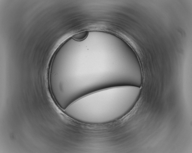 X0000113061434200908280937