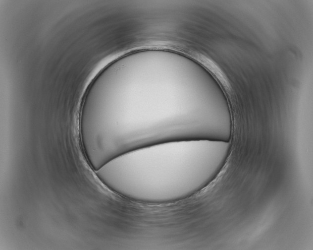 X0000113061436200908280937