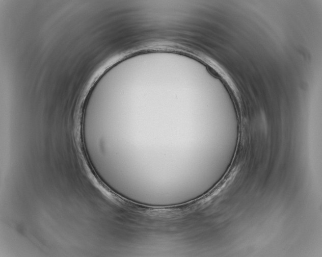 X0000113061437200908280937