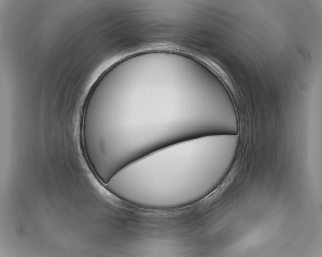 X0000113061438200908280937