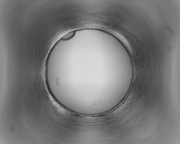 X0000113061439200908280937