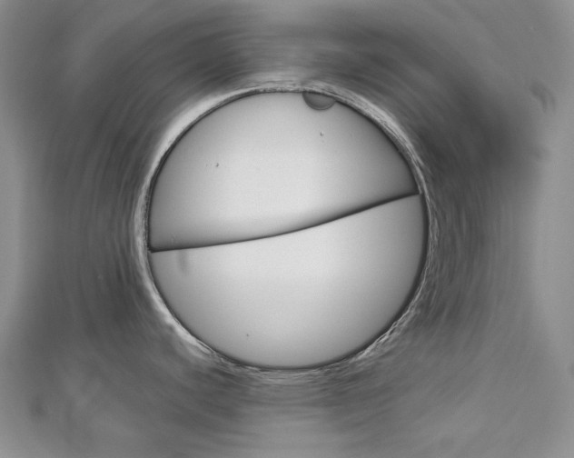 X0000113061440200908280937
