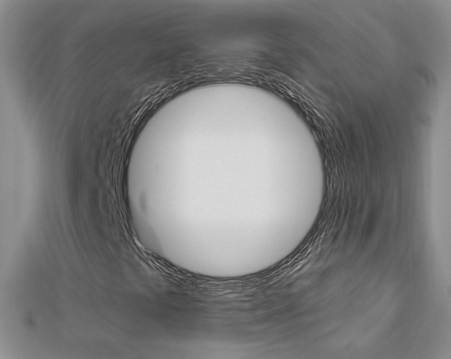 X0000113061441200908280936