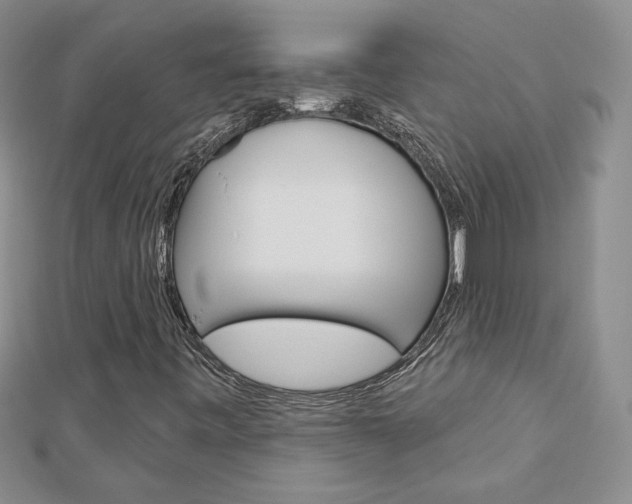 X0000113061443200908280936