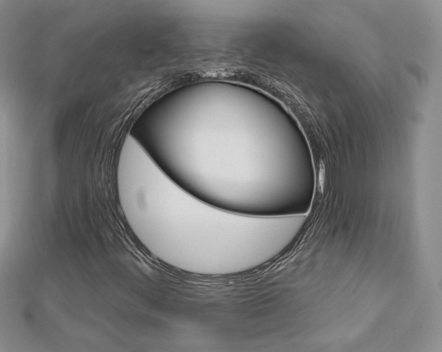 X0000113061444200908280936