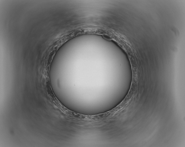X0000113061445200908280936