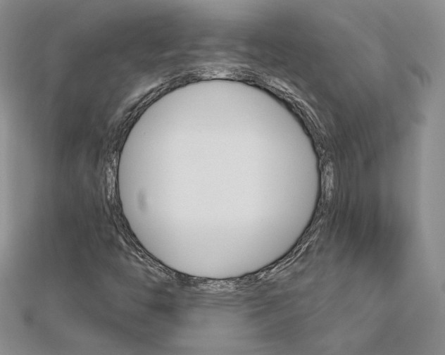 X0000113061446200908280936