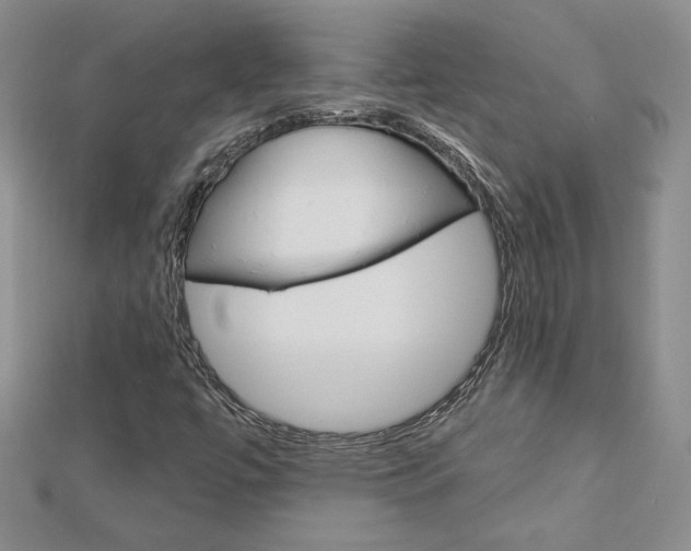 X0000113061447200908280936