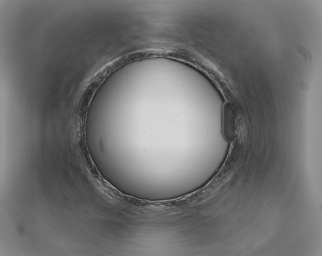 X0000113061448200908280936