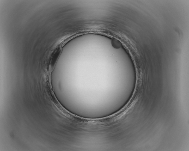 X0000113061449200908280936