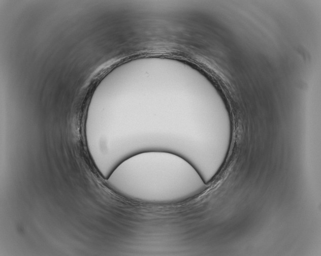 X0000113061451200908280936