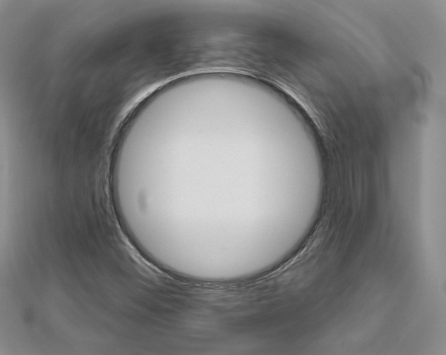 X0000113061452200908280936